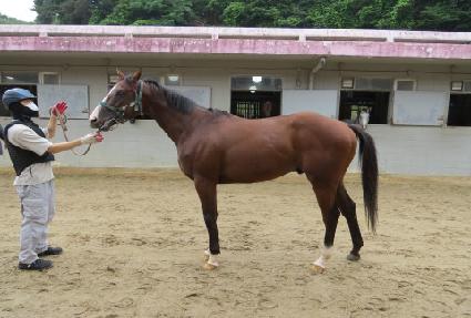 ¥�����ູ ����