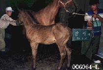 ���ָ� (KEUMJURI) ����