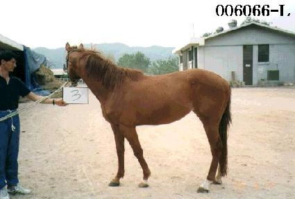 ���� ����