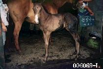 ������ڸ� ����