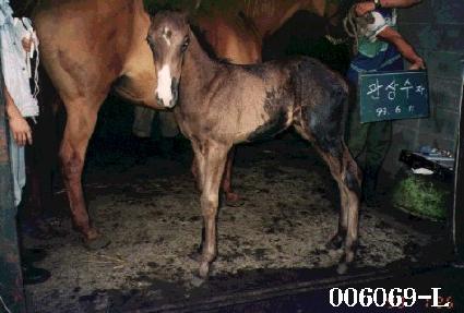 ������ڸ� ����