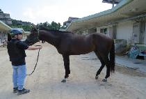 �������� (YUNAYUNA) ����