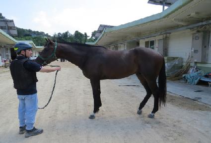 �������� ����