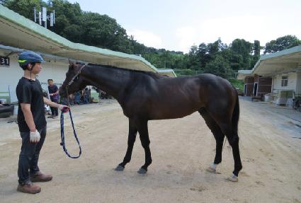 �����Ŀ� ����