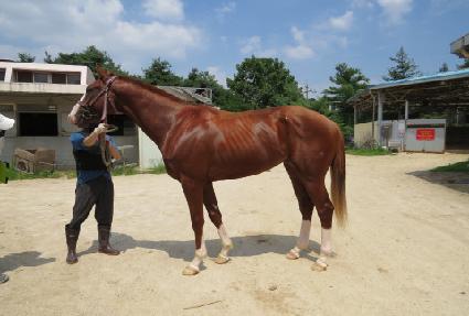 �Ļ罺��Ʈ ����