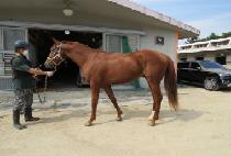 ����� (NAMSAN ROCK) ����