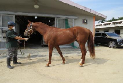 ����� ����