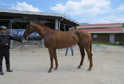 ������ ����