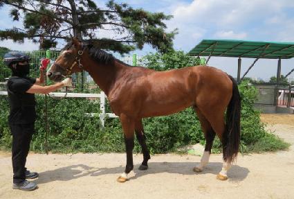 �ٶ��Ǳ�� ����