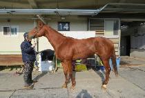 ������̾� (HIDDEN DIA) ����