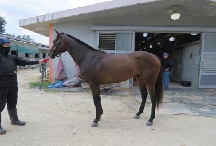 ���������� ����