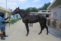 �Ļ罺��ũ (PASA SPARK) ����