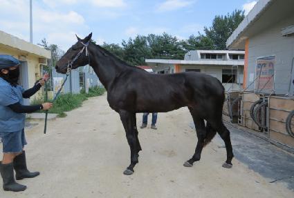 �Ļ罺��ũ ����