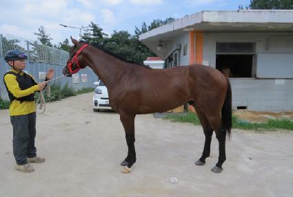 ������ ����