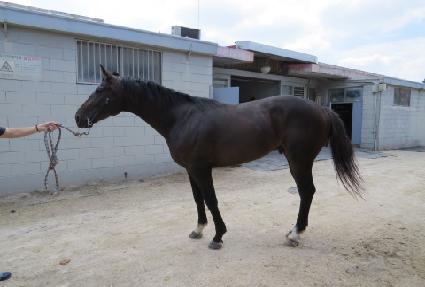 Ȳ�ݼ� ����