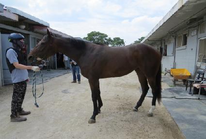 ������ȭ ����