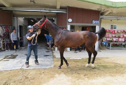 �帲������ ����