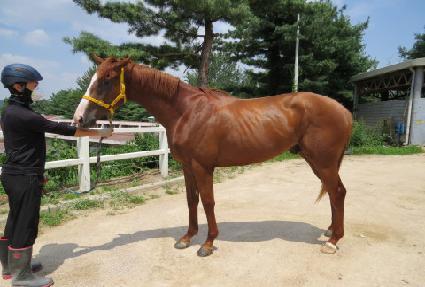 �۷ι�ŷ�� ����