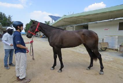 ����ʸӷ� ����