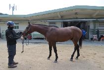 �����̾� (ONE DIA) ����