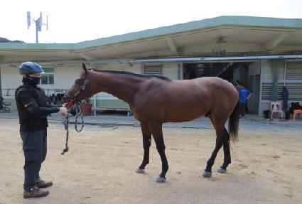 �����̾� ����