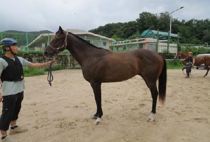 �̽�Ʈ����Ÿ ����