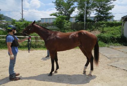 Ŭ��ġ��Ÿ ����