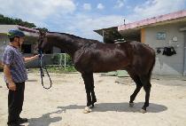 ��Ŭ���� (CIRCLE A) ����