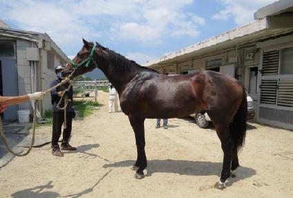 ���丮�轺 ����