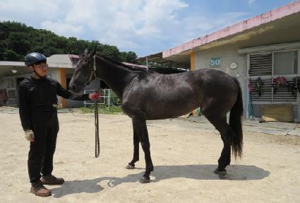 �׷��̰� ����