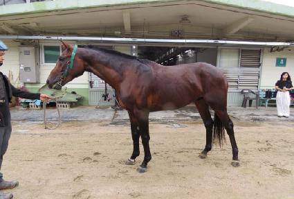 �±Ǻ��� ����