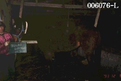 ����̵忤���ǽ� ����