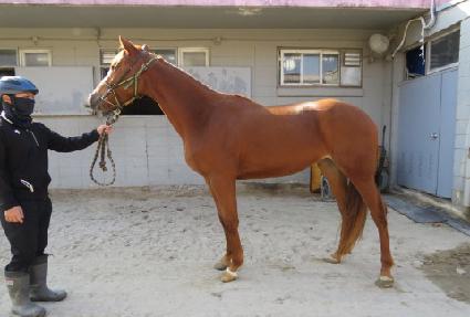 �����Ѻ� ����