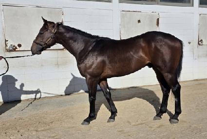 �ν�Ʈŷ�� ����