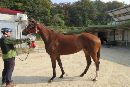 �����ǵ��� ����