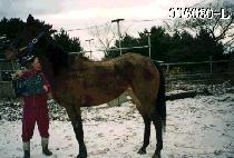 �θ޿������� (ROMEOSBAY) ����