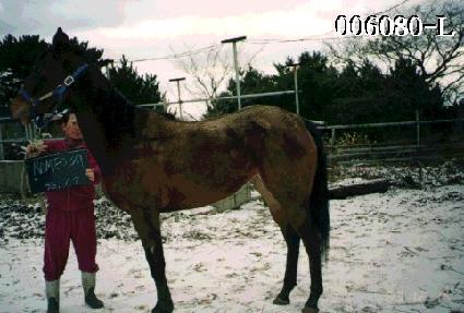 �θ޿������� ����