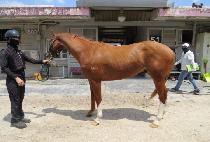 ���丮������ (VICTORY LIFE) ����