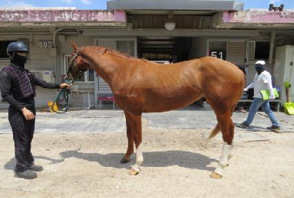 ���丮������ ����