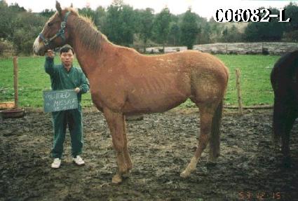 ���̵��̻��� ����