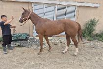 �̽����� (MISS WONDER) ����