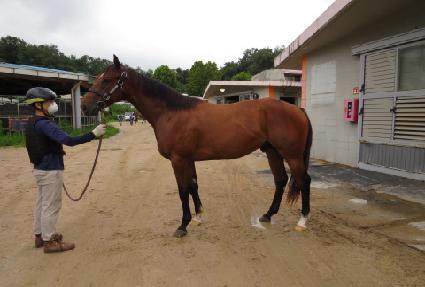 �����;Ʒ��� ����