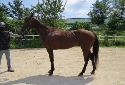 ���̸���ƾ ����