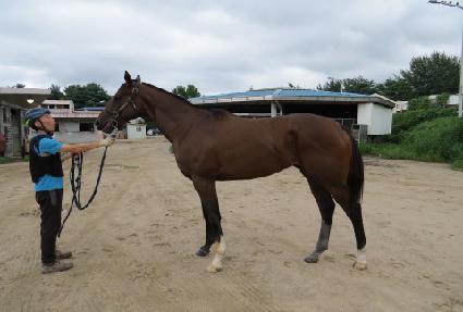 ���̿�����Ʈ ����