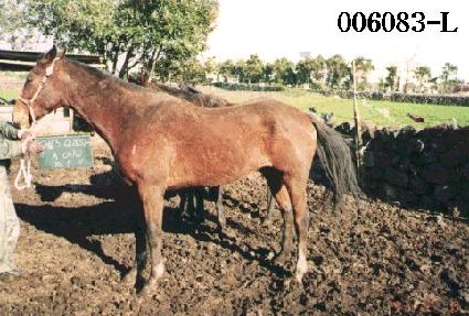 �������վ�ī�� ����