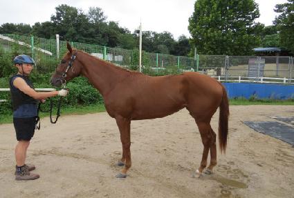 ������Ŭ���� ����