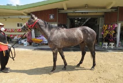 ���ʸ��ʶ��ǵ� ����