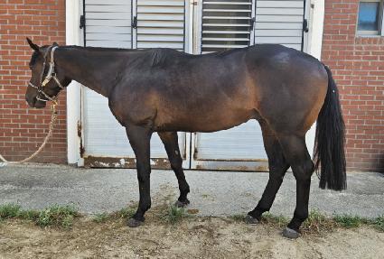 ġ�������� ����