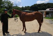 ���з��� (MOONHAK LUPPE) ����