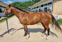 �̽��������� (MR. PRIME) ����